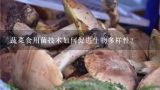 蔬菜食用菌技术如何促进生物多样性?