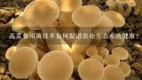 蔬菜食用菌技术如何促进农业生态系统健康?