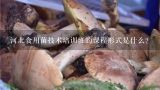 河北食用菌技术培训班的课程形式是什么?