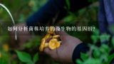 如何分析菌株培养的微生物的基因组?