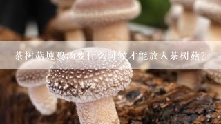 茶树菇炖鸡汤要什么时候才能放入茶树菇？