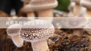 新鲜茶树菇怎么保存