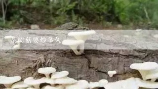 茶树菇要炒多久