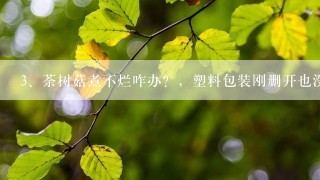 荼树菇煮不烂咋办？，塑料包装刚删开也没返潮，煮死