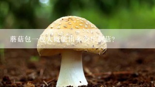 蘑菇包一包大概能出多少斤蘑菇？
