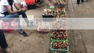 干茶树菇怎么样才算熟？