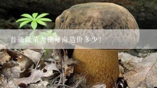 普通蔬菜大棚每亩造价多少？