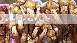 茶树菇管理和注意事项？？？