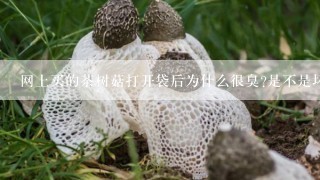 网上买的茶树菇打开袋后为什么很臭?是不是坏掉了?袋子上没有显示生产日期？