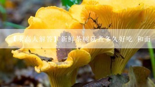 【求高人解答】新鲜茶树菇煮多久好吃 和面一起煮能熟嘛？ 要不要先泡着什么的？