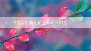 干锅茶树菇的正宗做法及图片