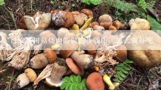 自家茶树菇烧肉的做法步骤图，怎么做好吃