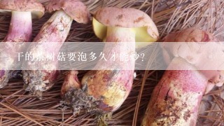 干的茶树菇要泡多久才能炒？