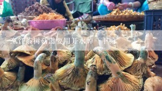 烹饪茶树菇需要用开水焯一下嘛