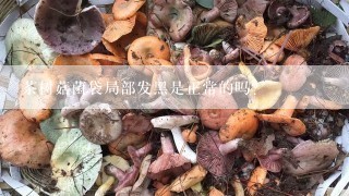 茶树菇菌袋局部发黑是正常的吗？