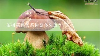 茶树菇鸭汤茶树菇多久放？