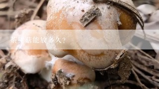 茶树菇能放多久？