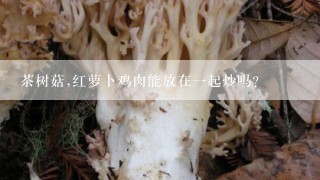 茶树菇,红萝卜鸡肉能放在一起炒吗？