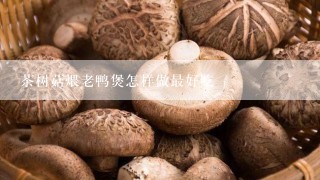 茶树菇煨老鸭煲怎样做最好吃