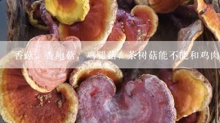 香菇，杏鲍菇，鸡腿菇，茶树菇能不能和鸡肉一起煲汤