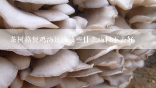 茶树菇煲鸡汤还该放些什么汤料下去好