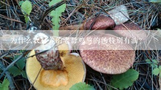 为什么农村养的老母鸡熬的汤特别有油？