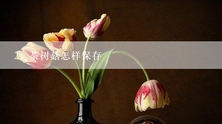 茶树菇怎样保存