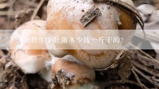 5 2016野生羊肚菌多少钱一斤干的？