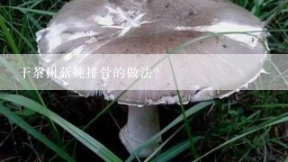 干茶树菇炖排骨的做法？