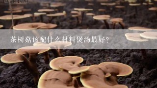 茶树菇该配什么材料煲汤最好？