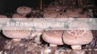 茶树菇炒鸭肉加毛豆能一起煮吗?