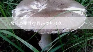 玉米红烧排骨排骨汤要炖多久？