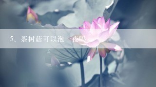 茶树菇可以泡一夜吗