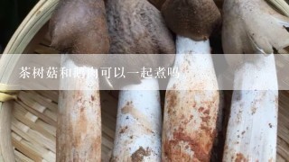 茶树菇和鹅肉可以一起煮吗