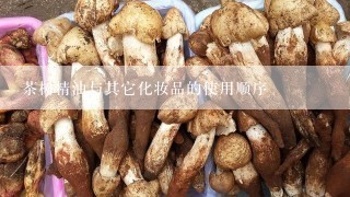 茶树精油与其它化妆品的使用顺序