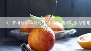 茶树菇的功效与作用 茶树菇的功效与作用介绍