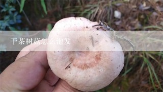 干茶树菇怎么泡发