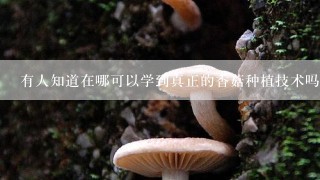 有人知道在哪可以学到真正的香菇种植技术吗？