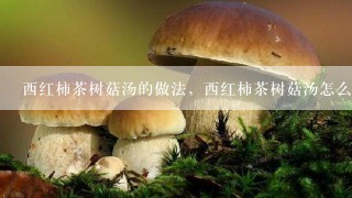 西红柿茶树菇汤的做法，西红柿茶树菇汤怎么做好吃？