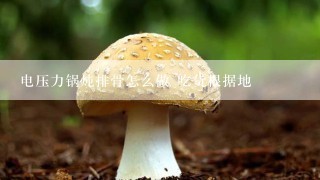 电压力锅炖排骨怎么做 吃货根据地