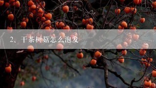 干茶树菇怎么泡发