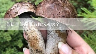 英语里的蔬菜名称汉英大全