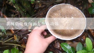 茶树菇炖瘦肉汤有什么功效