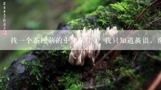 找一个茶树菇的中文名字， 我只知道英语，谢谢