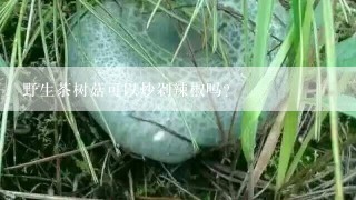 野生茶树菇可以炒剁辣椒吗？