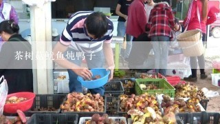 茶树菇鱿鱼炖鸭子