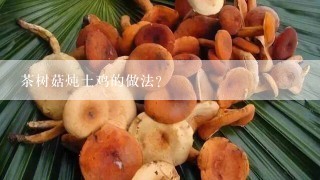茶树菇炖土鸡的做法?