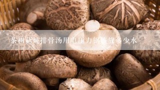 茶树菇炖排骨汤用电压力锅该放多少水