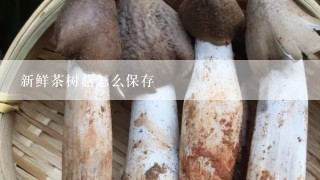 新鲜茶树菇怎么保存