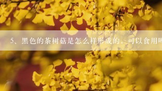 黑色的茶树菇是怎么样形成的，可以食用吗？？？